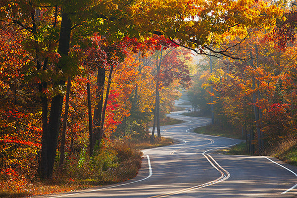 Door County Living in Pictures Vol 2