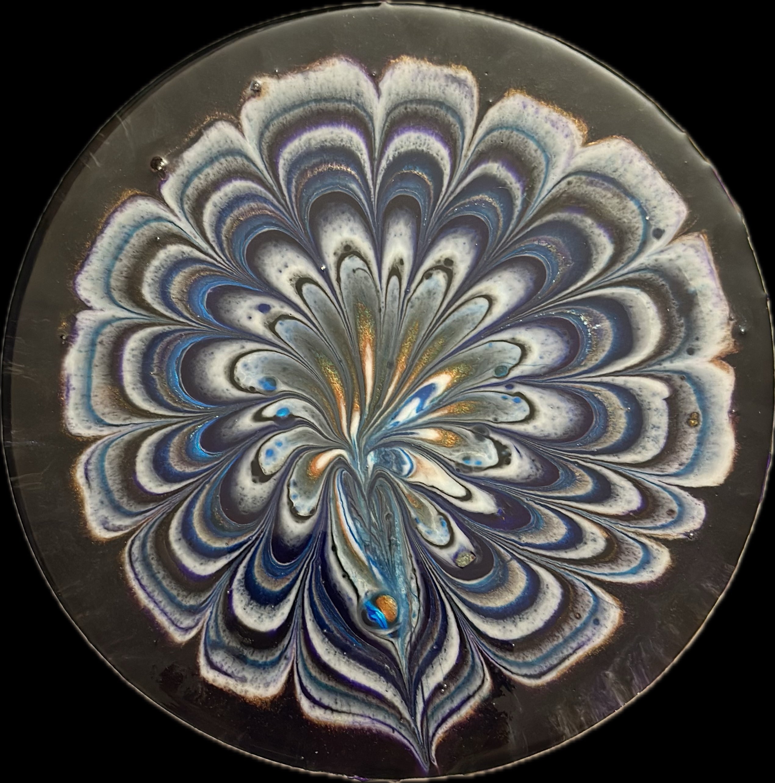 Aquaeflora