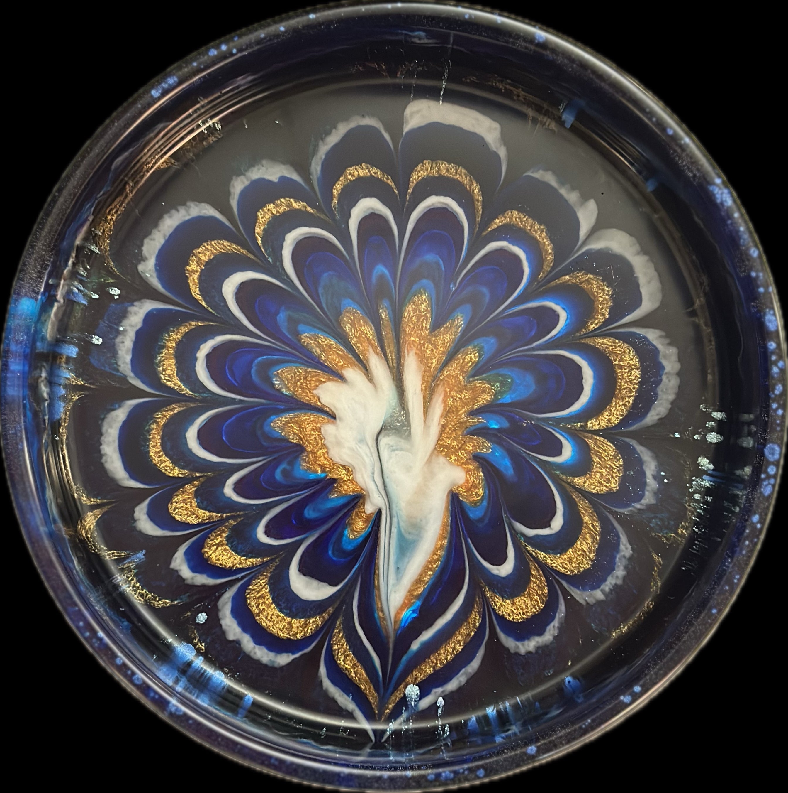 Aquaeflora
